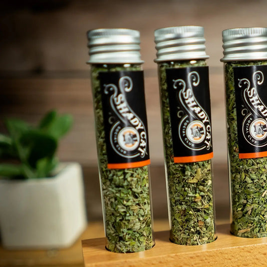 Organic Leaf & Flower Catnip Tube